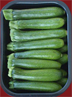 Baby Zucchini.