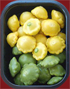 Green & Yellow Summer Squash.